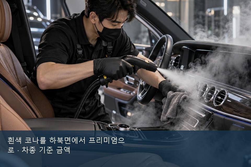 흰색 코나를 하북면에서 프리미엄으로 · 차종 기준 금액